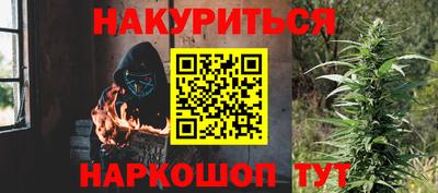 гидра Бийск