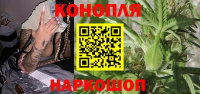 гидра Бийск
