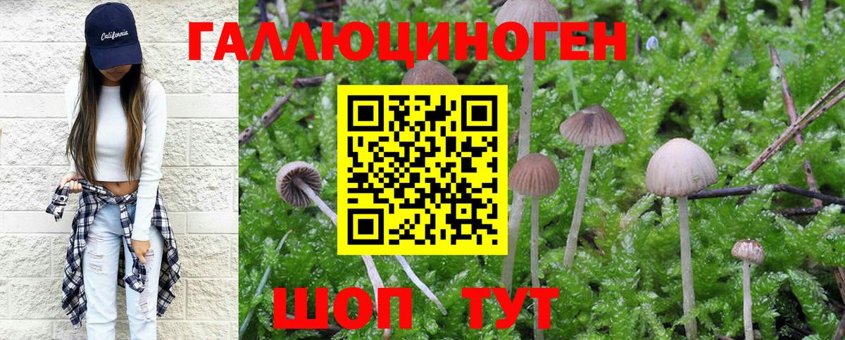 Вятские Поляны  Галлюциногенные грибы MAGIC MUSHROOMS  Вход с VPN 